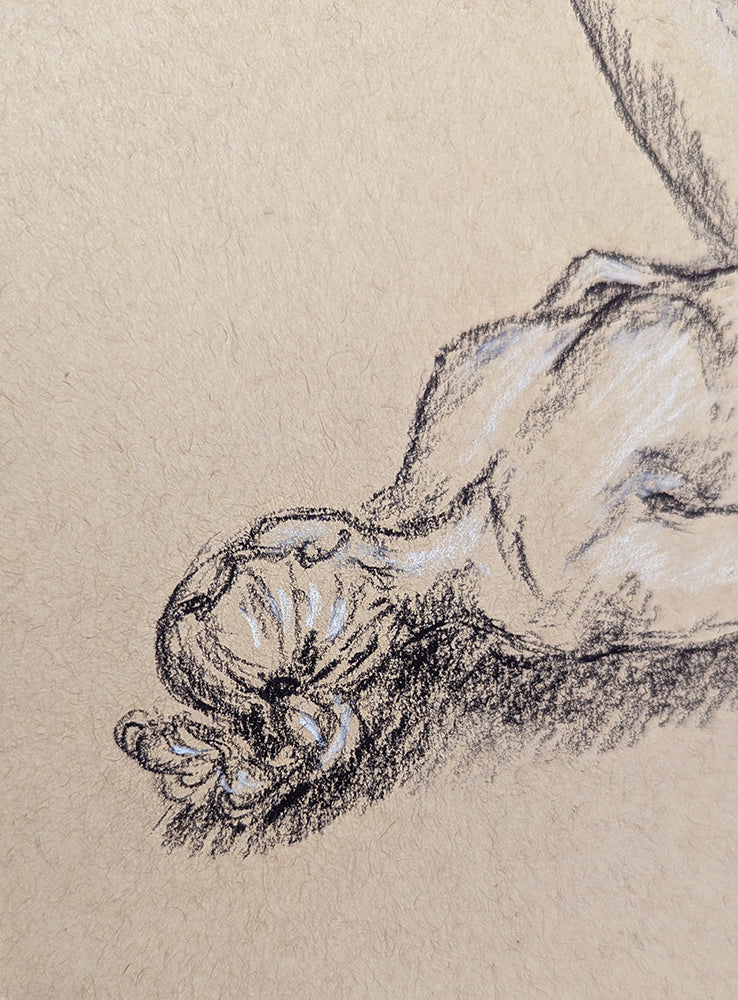 Resting Nude Figure Drawing - Original